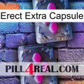 Erect Extra Capsule 01